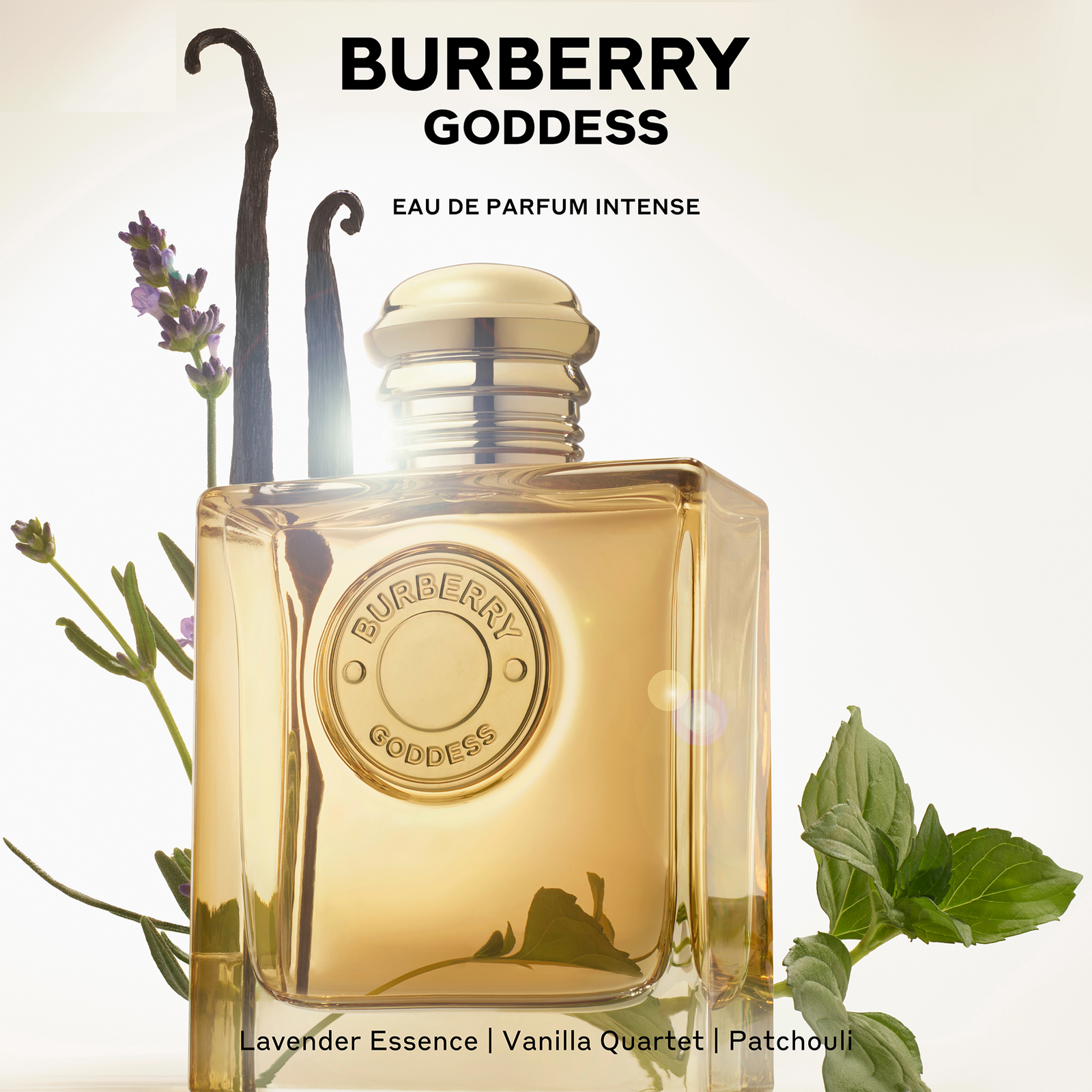 Perfume Sampler 6-Piece Gift Set