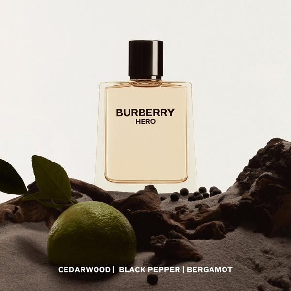 Burberry Hero Travel Spray Cologne 3-Piece Gift Set #4