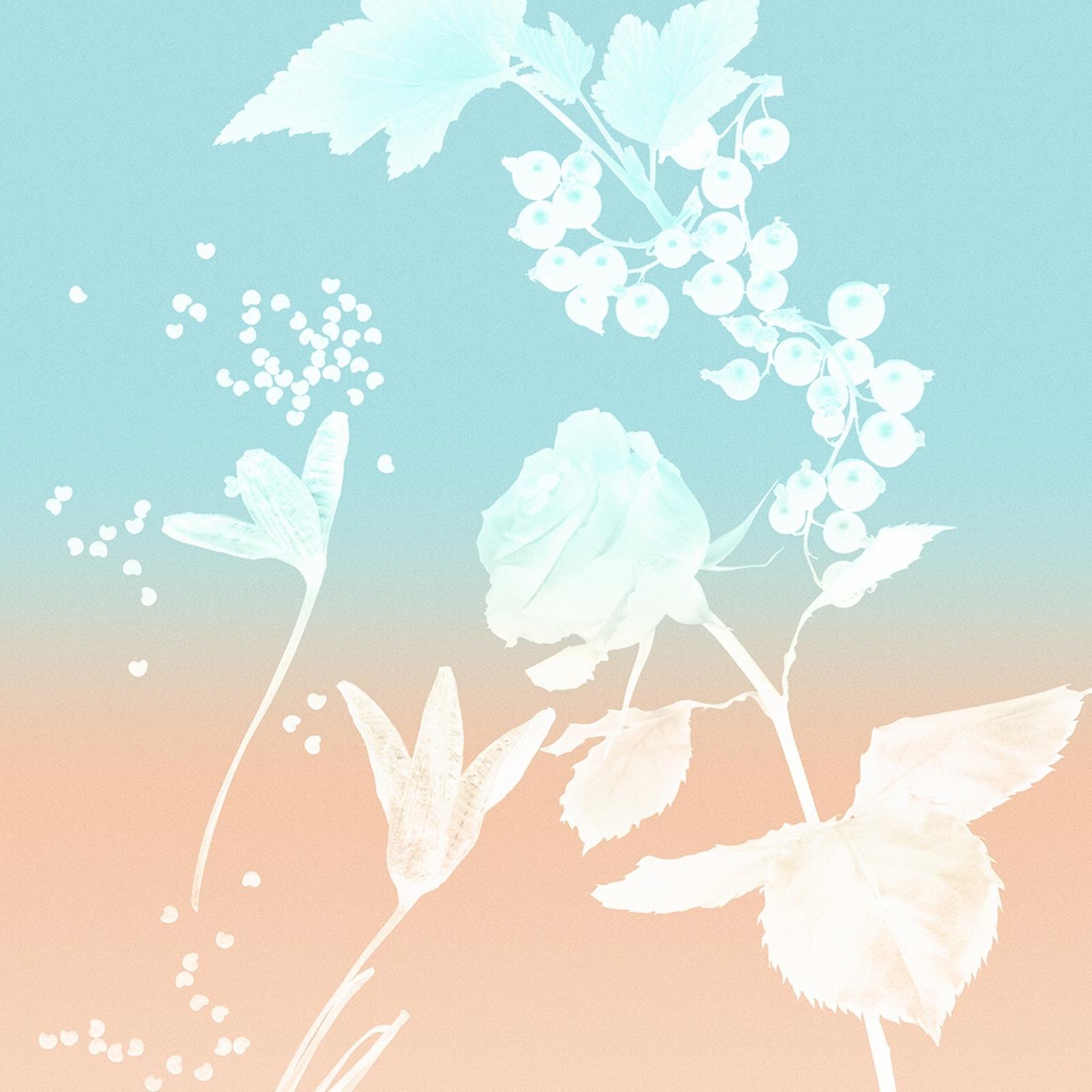 Rose Gold Eau de Parfum 3-Piece Gift Set