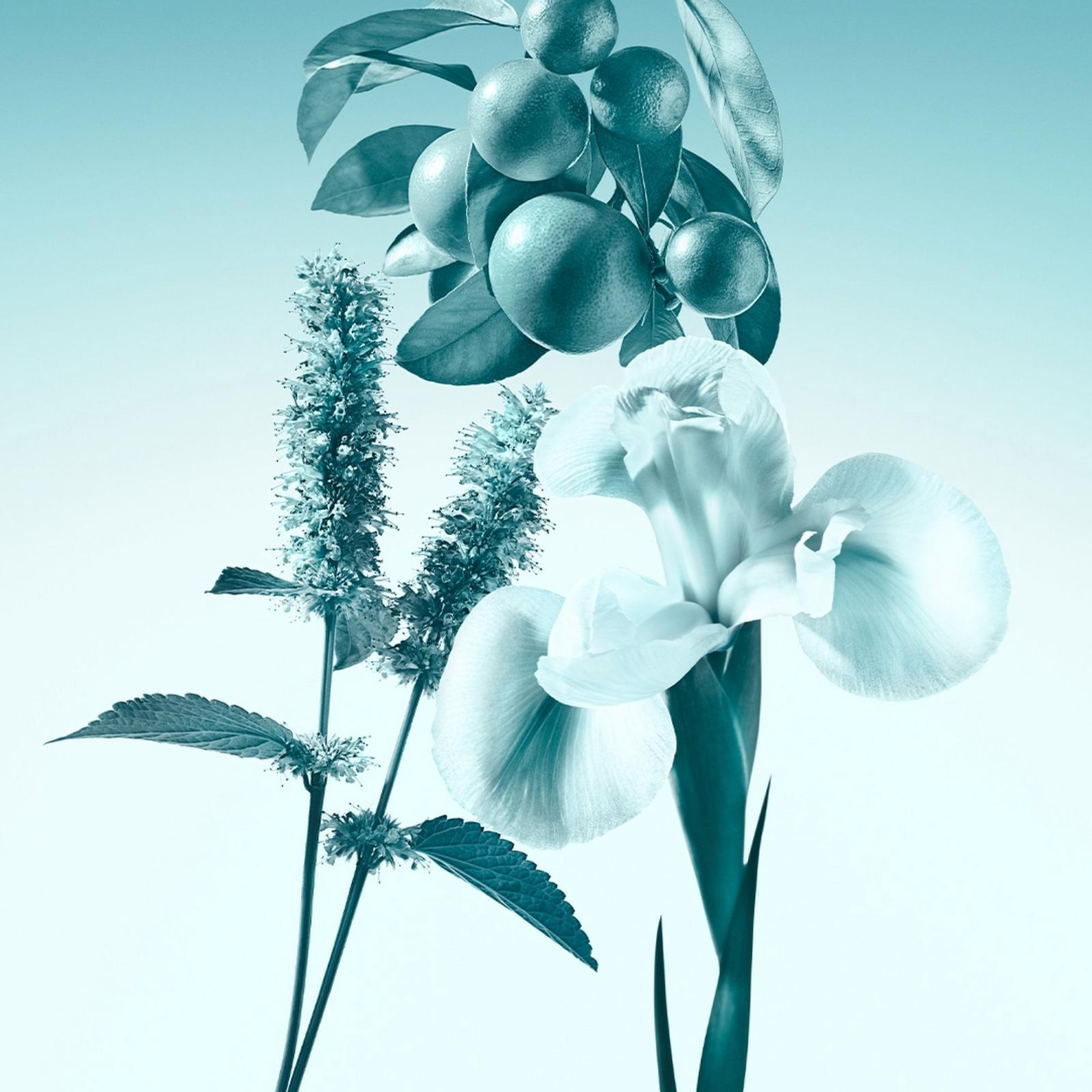 Tiffany Eau de Parfum 3-Piece Gift Set