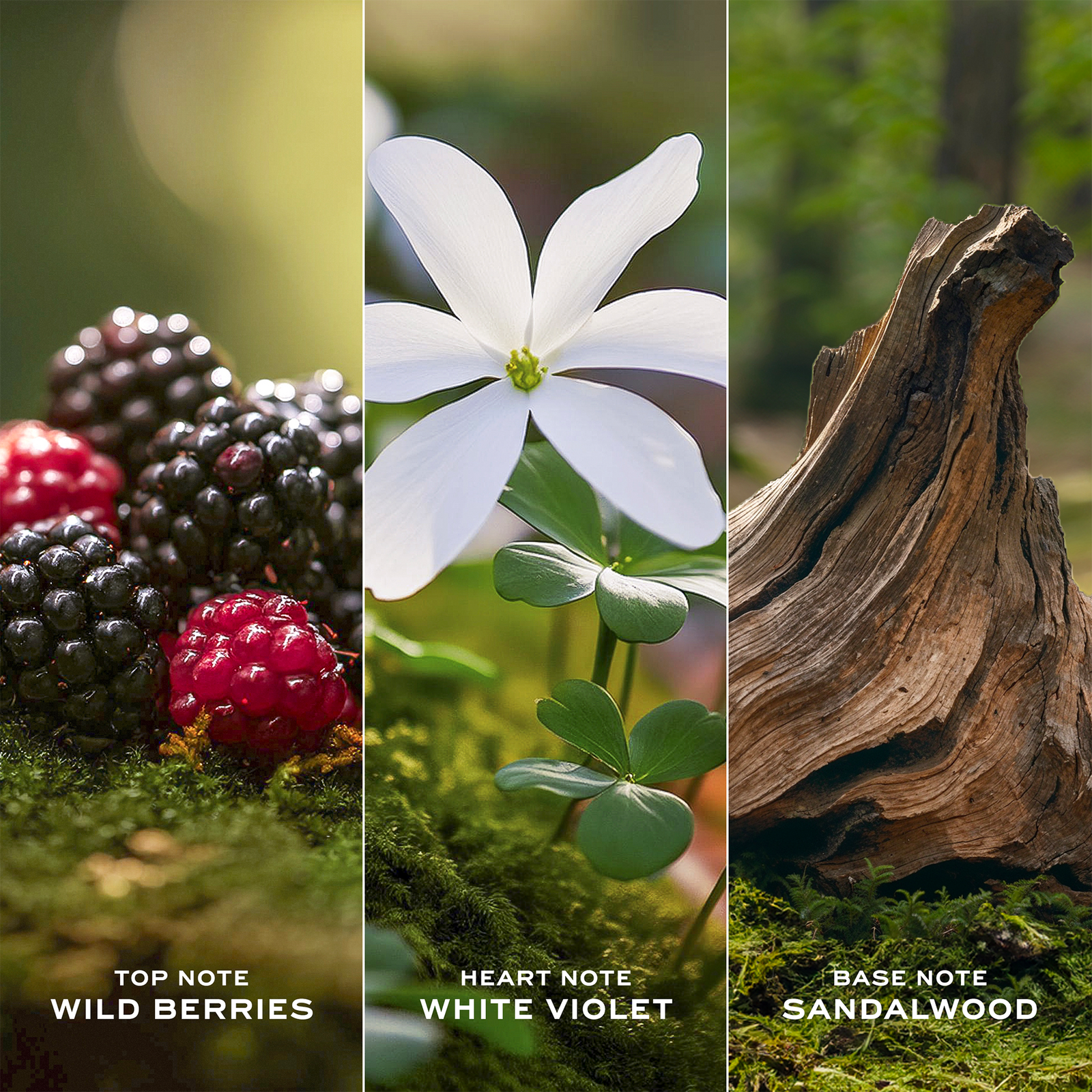 Daisy Eau de Toilette Duo 2-Piece Gift Set