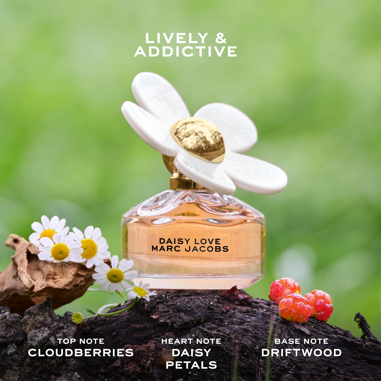 Daisy Mini 4-Piece Gift Set