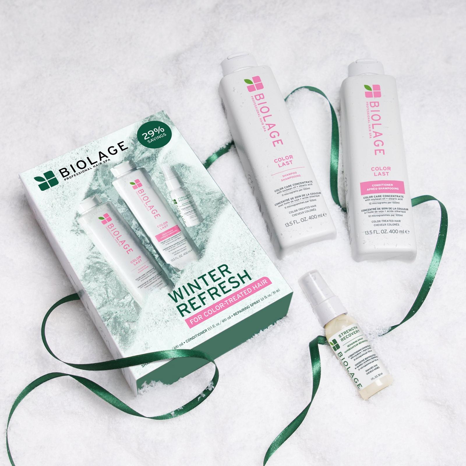 Color Last Holiday Kit