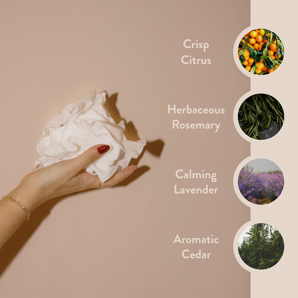 PAUME Cleansing Hand and Body Wipes #4