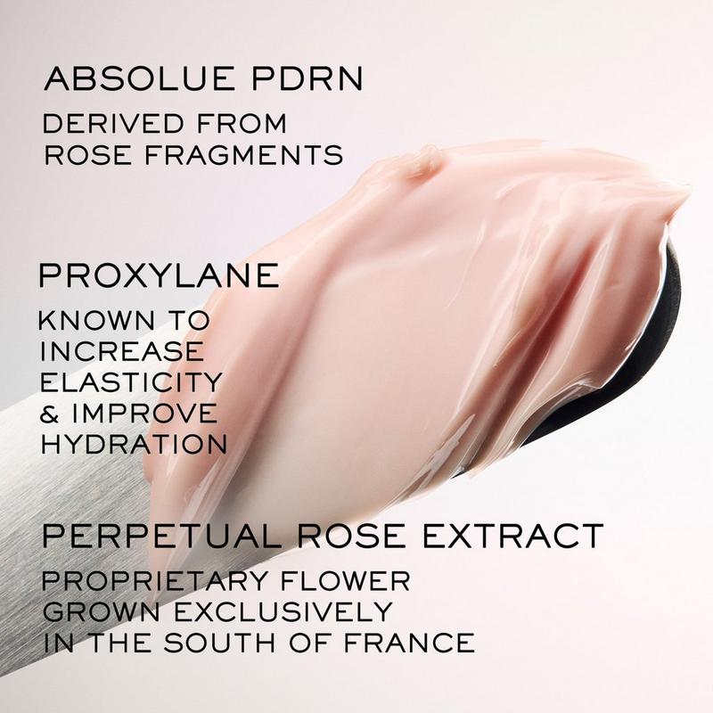 Lancôme - 1.0 oz Absolue Longevity Soft Cream Anti-Aging Face