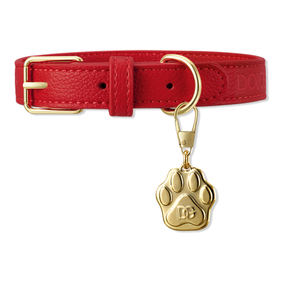 Dolce&Gabbana Free Fefe Dog Collar with select spray purchase Free Fefe Dog Collar with select spray purchase