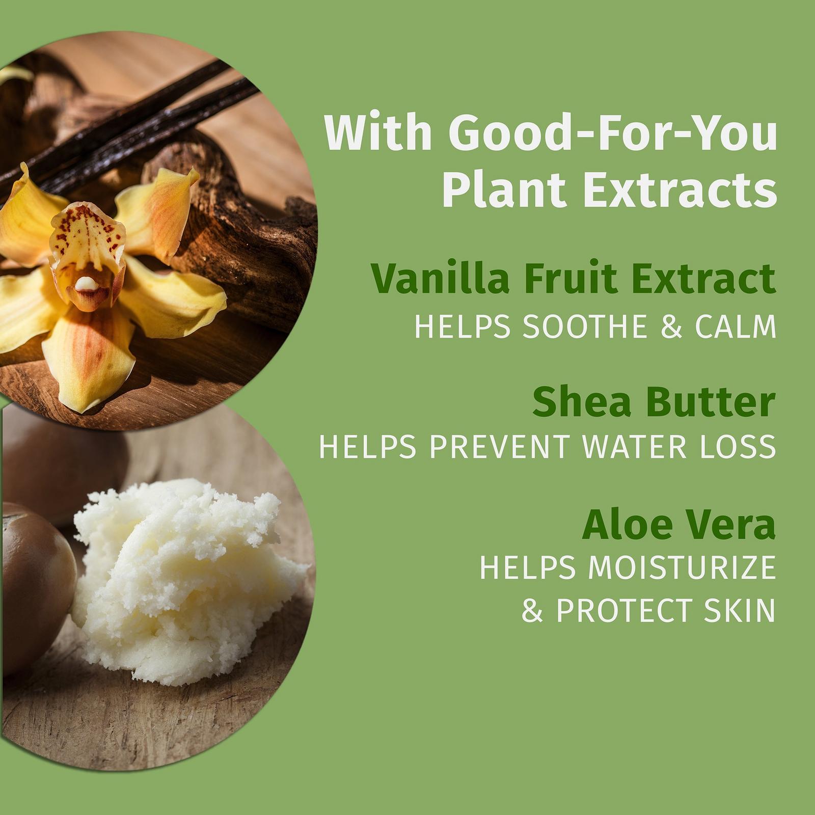 Limited Edition Vanilla Sugar Cookie Body Moisturizer - 17 oz
