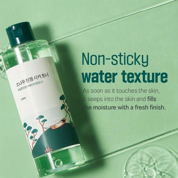 ROUND LAB Pine Calming Cica Toner #2