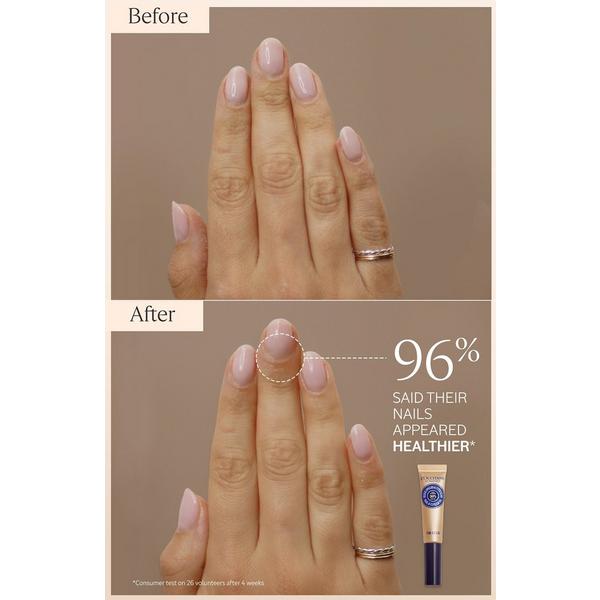 L'Occitane Shea Butter Classics – Lips, Body & Hands #6