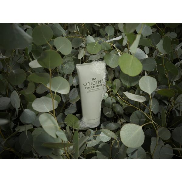 Origins Peace of Mind Daily Body Wash #4