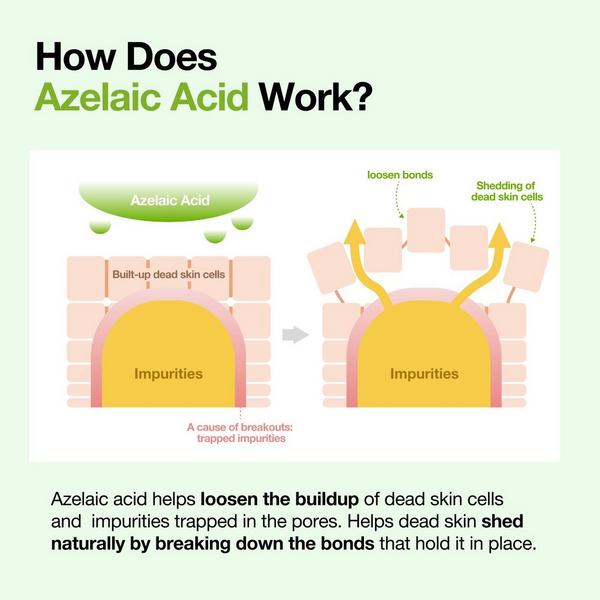 ANUA Azelaic Acid 3 Cica Skin Clarifying Toner #5