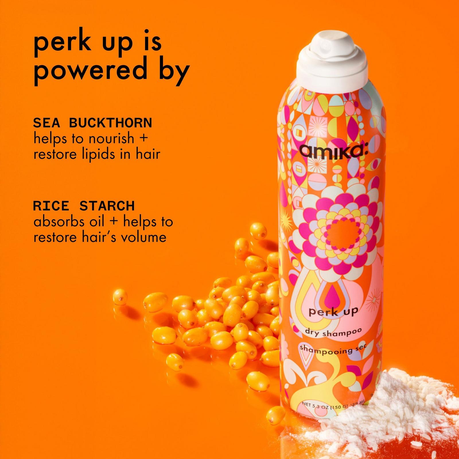 Perk Up Dry Shampoo - 5.3 oz