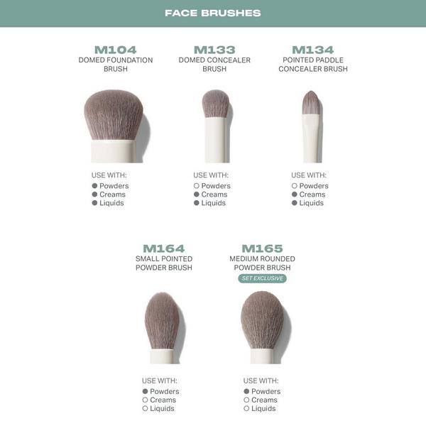 Set Pro de 16 Piezas de Brochas para Rostro y Ojos 2