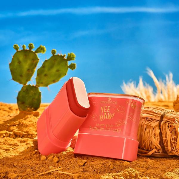 Essence Yee Haw! Blush Stick #4