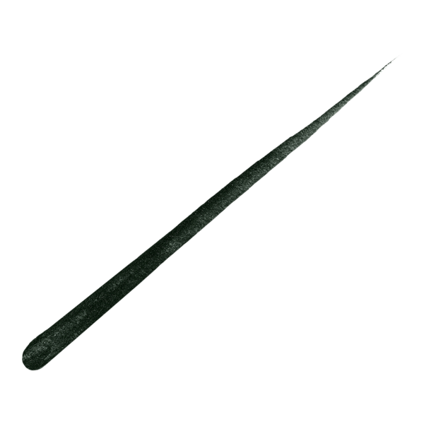 L'Oréal Haute Precision Liquid Eyeliner #2