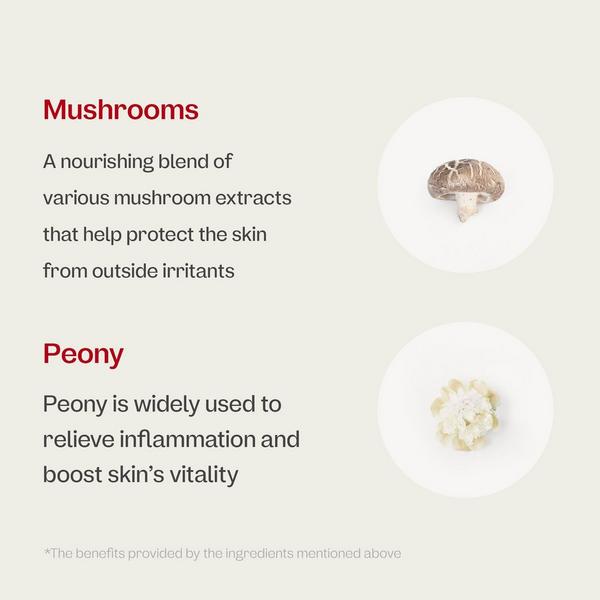 ma:nyo Bifida Ampoule Mist #6