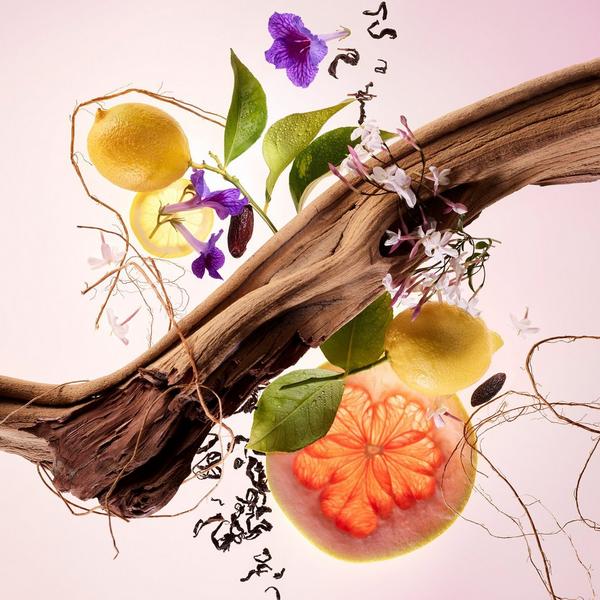 Rare Beauty Find Comfort Body & Hair Fragrance Mist #4