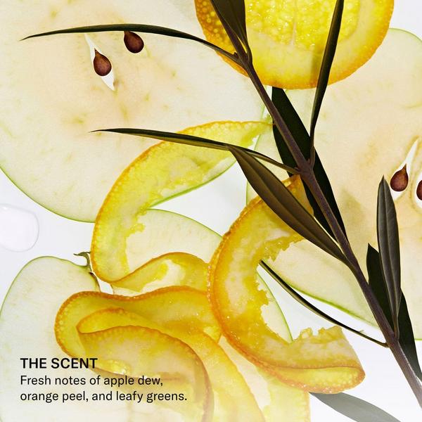 SEEN Leave-In Conditioner #6