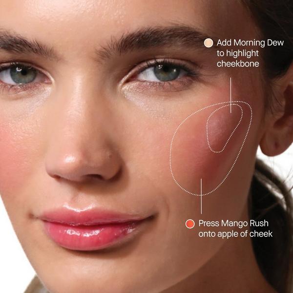 BOBBI BROWN Skin Enhancer Blush, Bronzer & Highlighter Multi-Stick #4