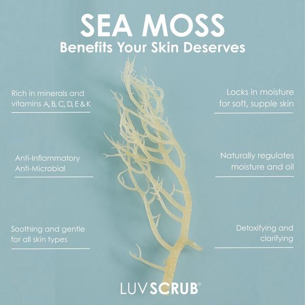 LUV SCRUB Sweet African Violet Samina Bar #3