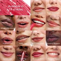 Clinique Chubby Stick Moisturizing Lip Color Tinted Lip Balm #5