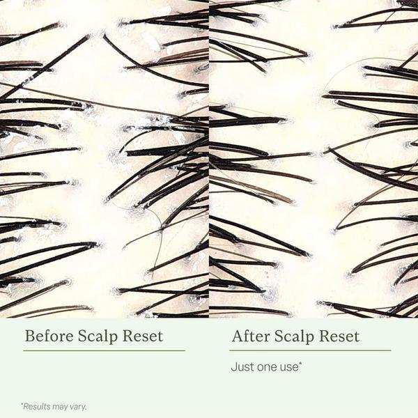 Divi Get Started Kit #6