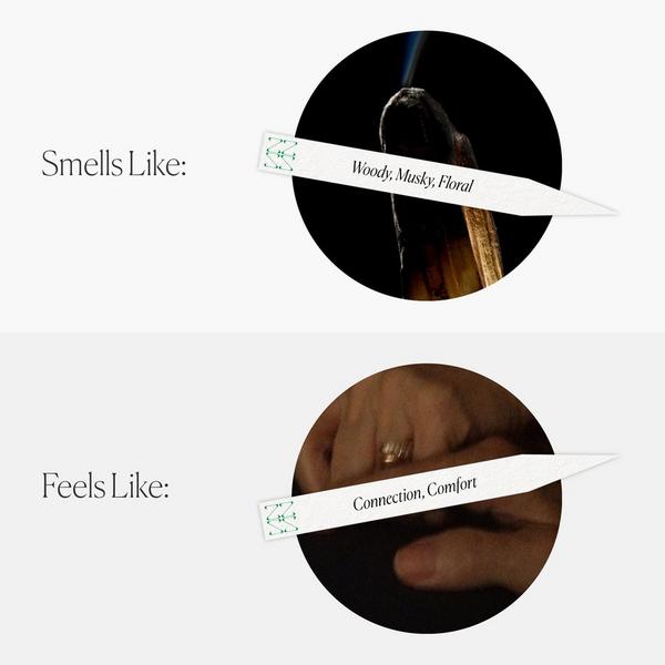 The Nue Co.  Us Pheromone+ #5