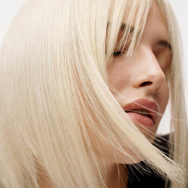 Sebastian Dark Oil #7