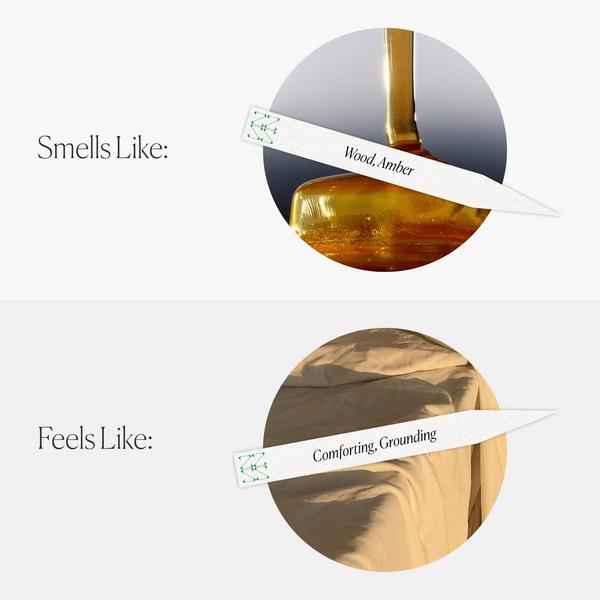 The Nue Co.  Past Time Nostalgia #4