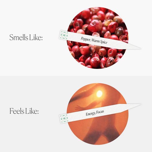 The Nue Co.  Mind Energy Focus #5