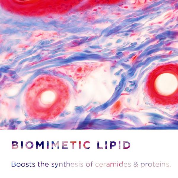 Bioderma Sensibio AR+ CREAM Face Moisturizer for Sensitive & Redness prone skin #6