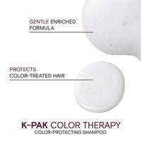 Joico K-PAK Color Therapy Color-Protecting Shampoo #2