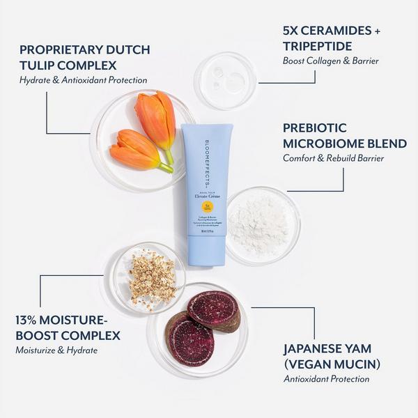 Bloomeffects Royal Tulip Elevate Crème #4