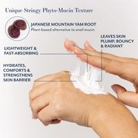 Bloomeffects Royal Tulip Elevate Crème #5