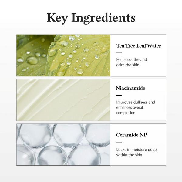 Dr. Althea 345 Relief Cream #8