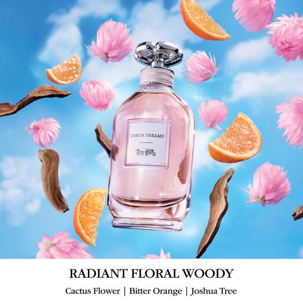 Coach Dreams Trio Set #2