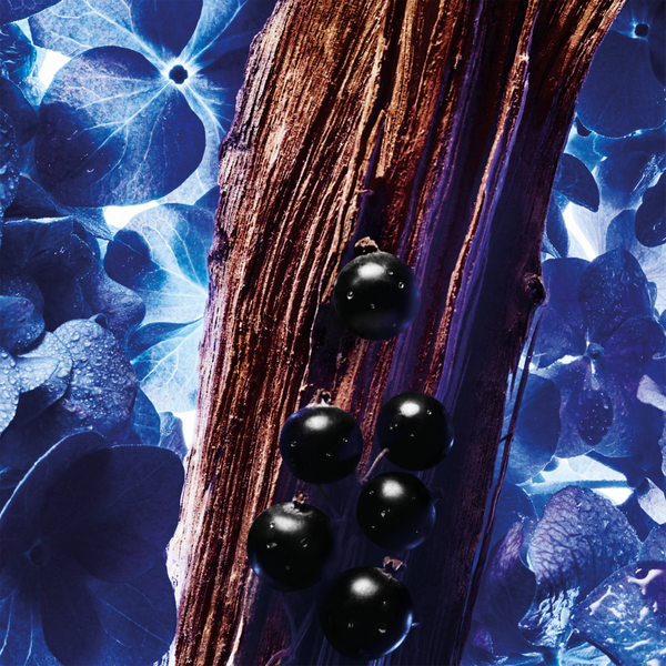 Bridgerton Dearest Graceful Hydrangea Eau de Parfum #6