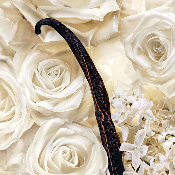 Bridgerton Dearest Rebel Vanilla Eau de Parfum #6