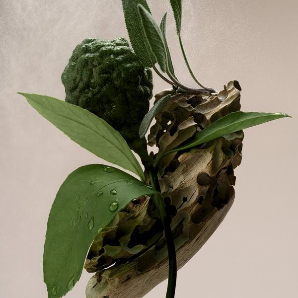 Saltair Fine Fragrance Body Mist #4