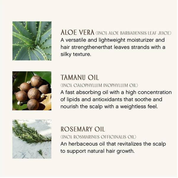 Innersense Organic Beauty Fragrance-Free Sweet Spirit Leave In Conditioner #3