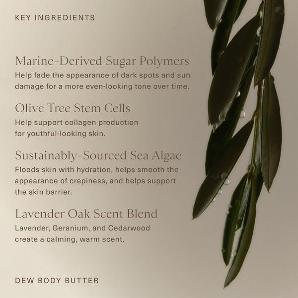Oak Essentials Dew Body Butter #6