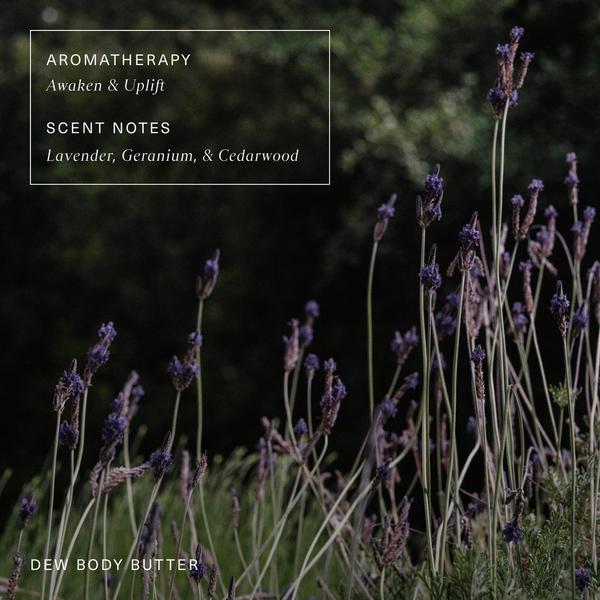 Oak Essentials Dew Body Butter #7