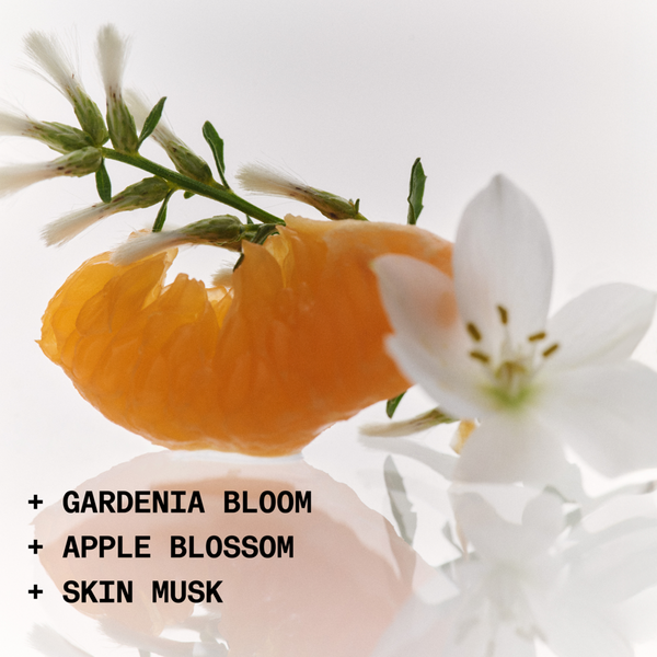 NOYZ Detour Mylk de Parfum #3