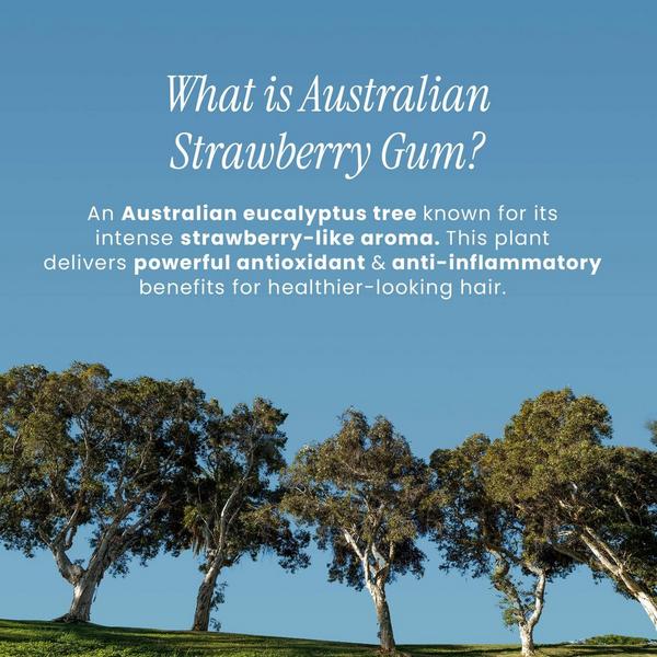 Bondi Boost Strawberry Gum HG Miracle Hair Mask #4