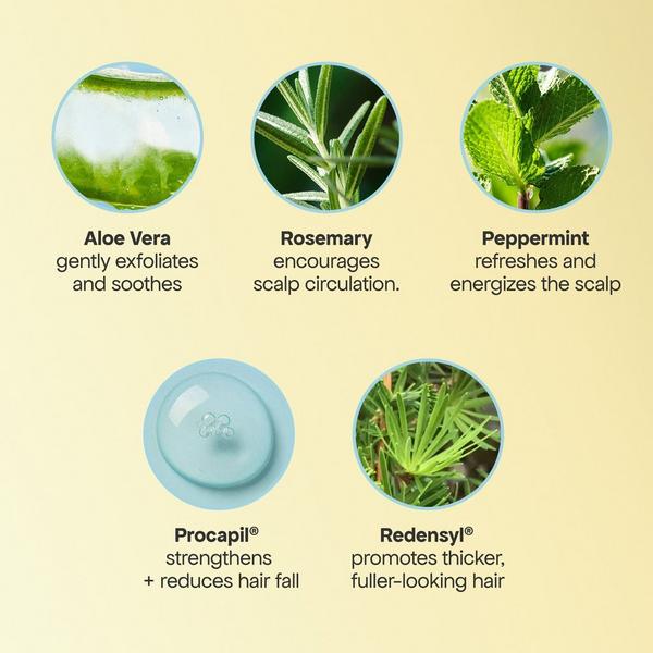 Bondi Boost HG Shed Happens Kit #6