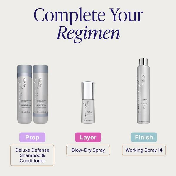 Kenra Professional Platinum Deluxe Defense Shampoo #6