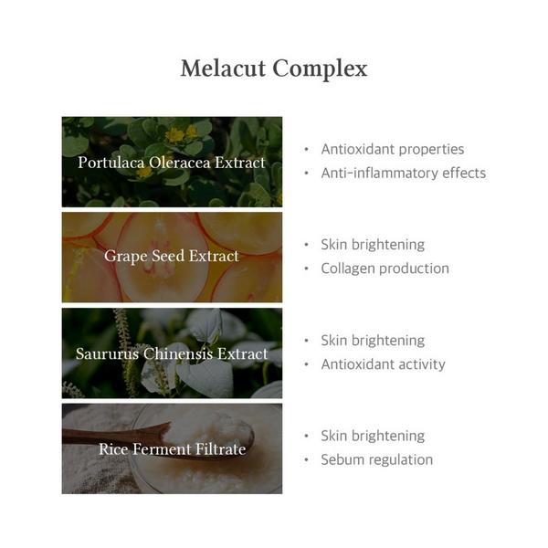 Dr. Althea 15% Niacinamide Purity Serum #7