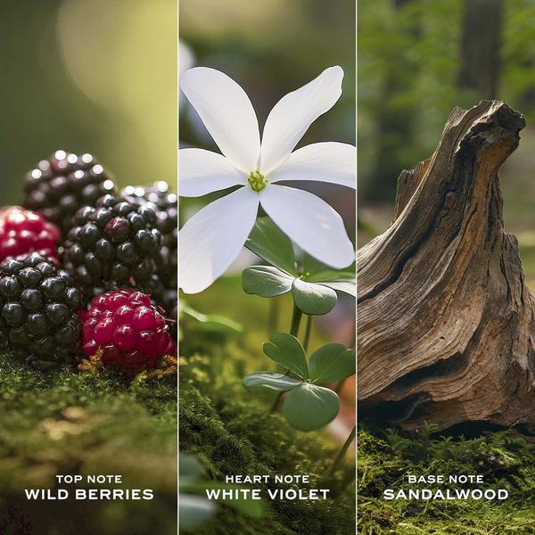 Marc Jacobs Daisy Eau de Toilette Duo Gift Set #4