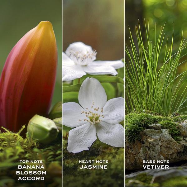 Marc Jacobs Daisy Wild Eau de Parfum Duo Gift Set #4