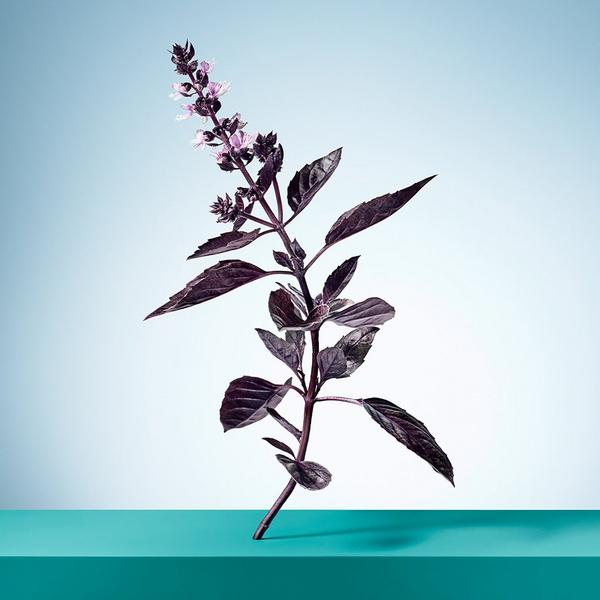 Tiffany & Co. Tiffany & Love Eau de Parfum 3-Piece Gift Set #3